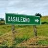 casaleno31